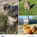 Daniel Florkowski - Facebook