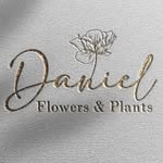 @daniel_flowers_sderot - Instagram