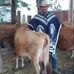 Daniel Folgar - Facebook