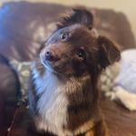 Daniel Folkes - @daniel_folkes - Instagram