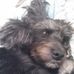 Daniel Foose - Facebook