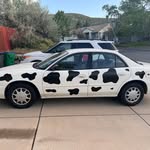 Daniel Foote - @foote127 - Instagram