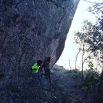 @dani.elforce - Instagram