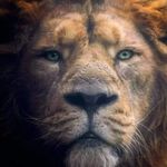 Daniel Forestieri - @danielforestieri - Instagram