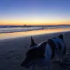 danielforety - @danielforety - TikTok