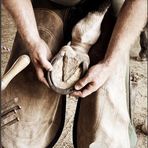 Daniel Green’s Forge &amp; Farrier Services - Facebook