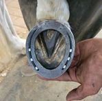 Daniel Vera Forge - Facebook