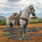 Marco Daniel Fornéron - @marcodanielforneron - Instagram