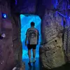 Daniel Fox - @dannfoxx - TikTok