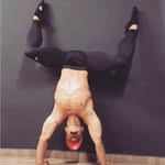 daniel franko - @franko_0120 - Instagram