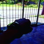 daniel freese - @freese_daniel - Instagram