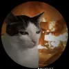Daniel - @freezedaniel - TikTok