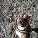 Daniel Frerichs - @daniel.frerichs.1 - Instagram