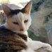 Daniel Frevert - Facebook