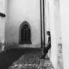 Daniel Friebe - @danielfriebe83 - TikTok