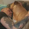 Daniel Frieberg - @daniel.frieberg2 - TikTok