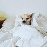 Daniel Friedl - @danie_lfriedl - Instagram