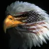 Daniel Frisby - @daniel.frisby - TikTok