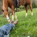 Daniel Fritsch - Facebook