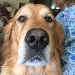 Daniel Froelich - @froelich.daniel - Instagram