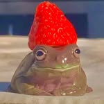@daniel_frog_aleatorio - Instagram