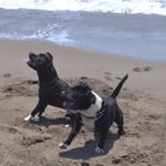 Daniel Fronda Millan - @danielfrondamillan - Instagram