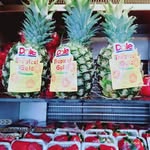 🌳میوه فروشی دانیال🌳 - @daniel_carpet_fruit_8800 - Instagram