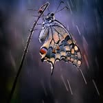 Daniel Frumusanu - @danielfrumusanu - Instagram
