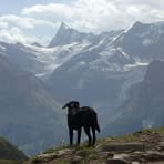 Daniela Kaufmann Frutiger - Facebook