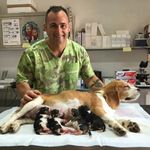Daniele Fucci - @daniele.fucci.65 - Instagram