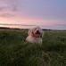 Daniel Fullam - Facebook
