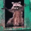 Daniel - @daniel.fultz71811 - TikTok