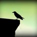 Daniel Furman Photography - Facebook