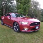 Daniel Gagne - @daniel.gagne.779 - Instagram