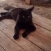 Daniel Galaz - Facebook