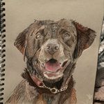 Daniel Galloway - @daniel.galloway.5496 - Instagram