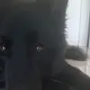 daniel - @galterdaniel - TikTok