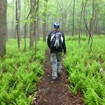 Daniel Gamble - @gamble.daniel - Instagram