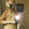Daniel Gamez - @daniel.gamez70 - TikTok