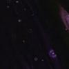 Daniel Gard - @daniel.gard8 - TikTok