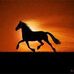Daniel Gardam - Facebook