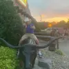 Daniel Garde - @daniel.garde - TikTok