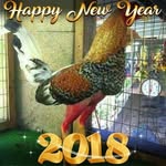 Daniel Garden - @daniel.garden.98 - Instagram