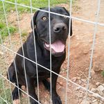 Daniel Barp Garibaldi - @barpgaribaldi - Instagram