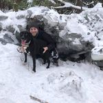 Jean-daniel Gariepy - @jeandangariepy - Instagram
