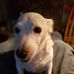 Daniel Garlock - Facebook