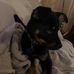 Daniel Garr - Facebook