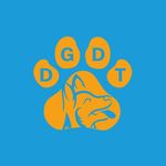 Daniel Garrigan Positive Dog  Training - @daniel_garrigan_dog_training_ - Instagram
