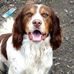 Daniel Garratt - Facebook