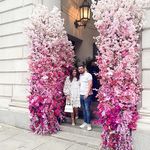 Daniel Garrigan - @dannygarrigan1 - Instagram
